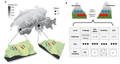 Solar radiation explains litter degradation along alpine elevation gradients better than other climatic or edaphic parameters